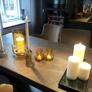 https://luxury-new-apartment-heart-of-copenhagen.copenhagenhotelselect.com
